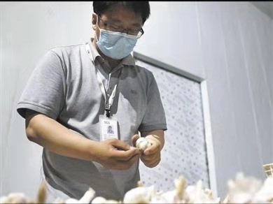 1611716988916356.jpg 1611716988916356.jpg